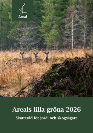 Areals lilla gröna