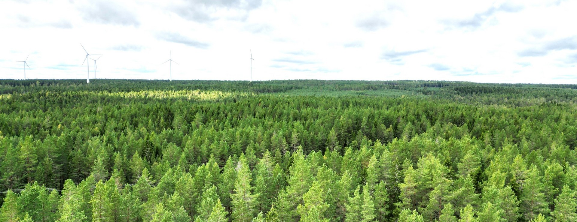 Klintsjön - Tillväxtfastighet med bra jakt