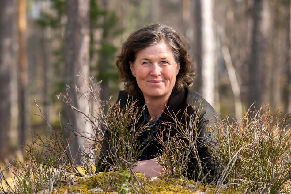Vår medarbetare Kerstin Granath berättar om kvinnligt skogsägande i SR P1