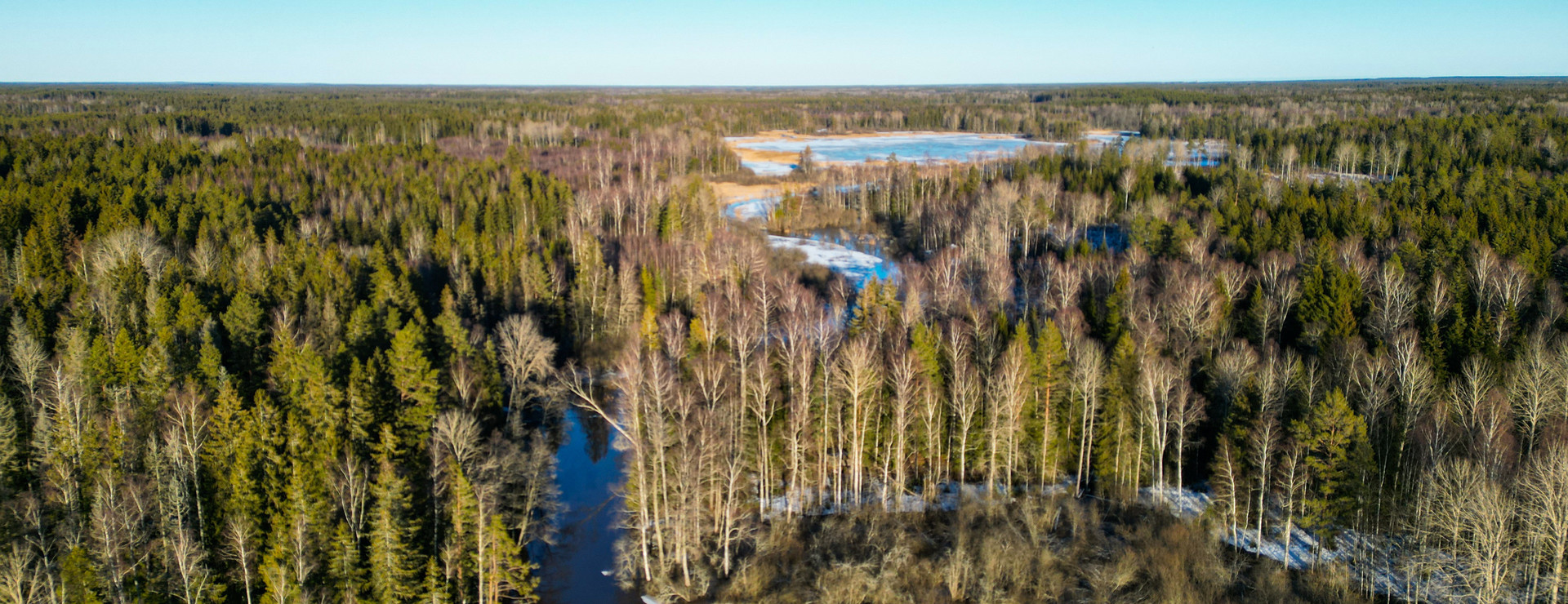 Hallarsjömarken - Skogsfastighet i attraktivt läge