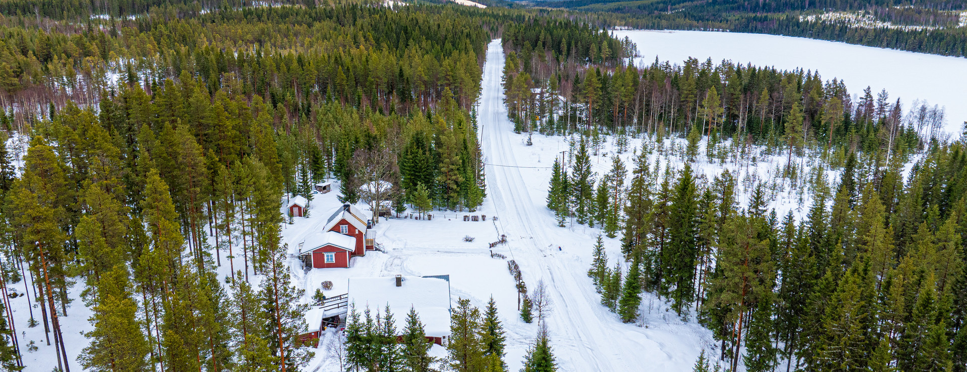 Nybodarna - Skogsgård vid Gillhov