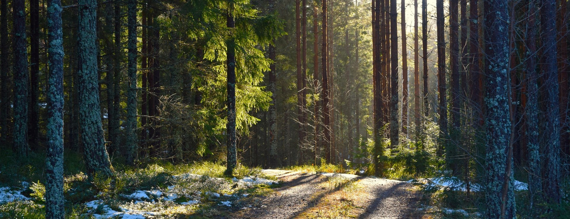 Ulvsbol, Kila - Skog mellan sjöarna