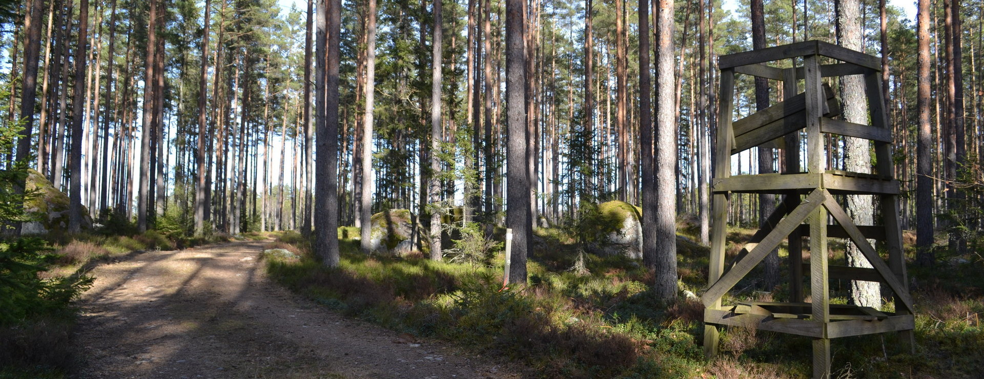 Räntemåla - Skogfastighet Räntemåla