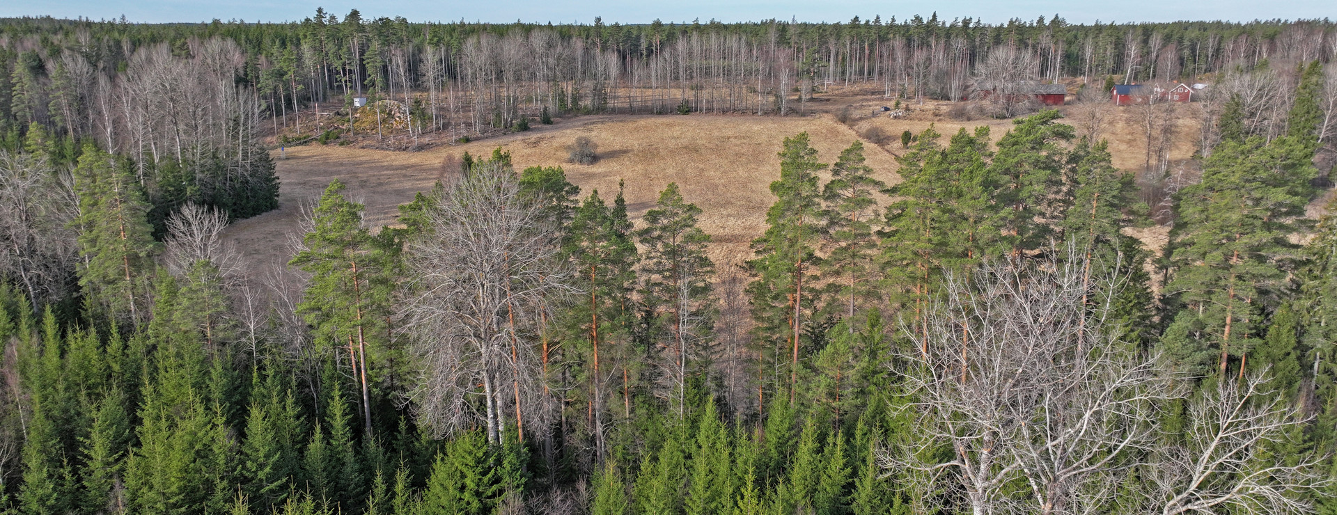 Sörkärr - Skogsgård