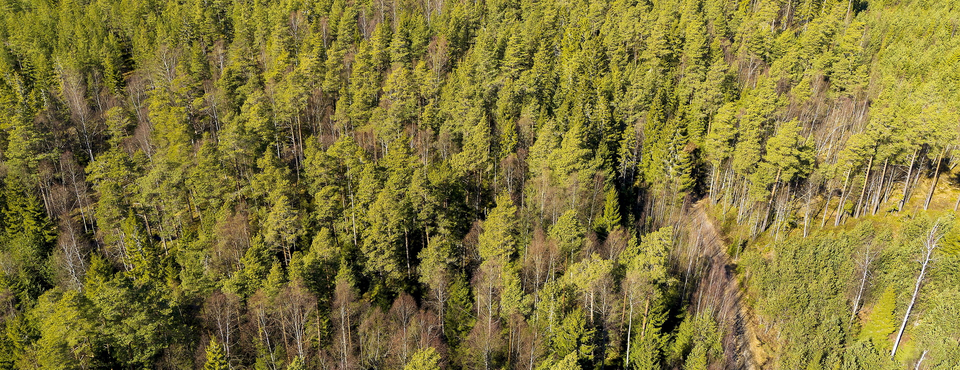 Eketorp - Torpställe med skog och mark