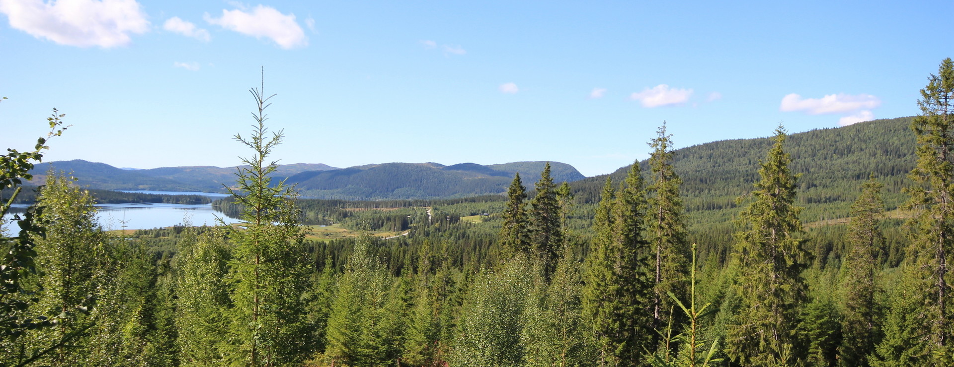 Jorm - Vid fjällen