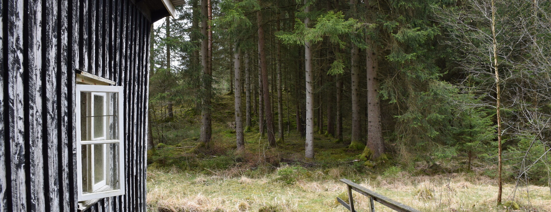 Billetorpet - Skog och jakt