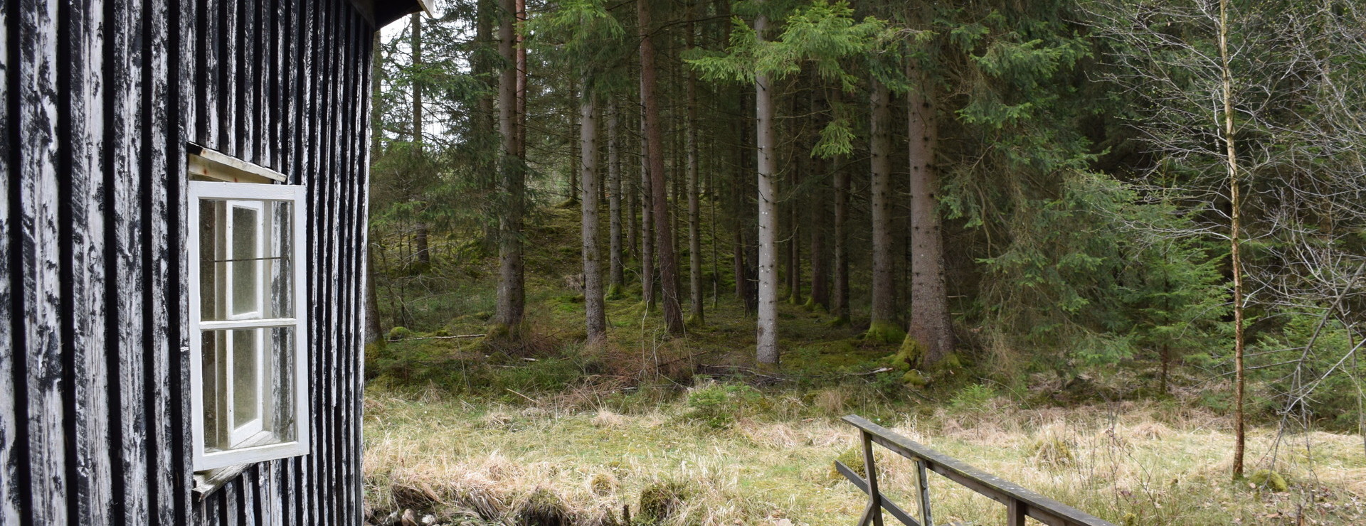 Billetorpet - Skog och jakt