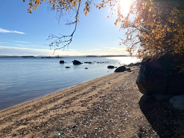 Skålsvedsrönningen - Drömläge vid Norrdellen