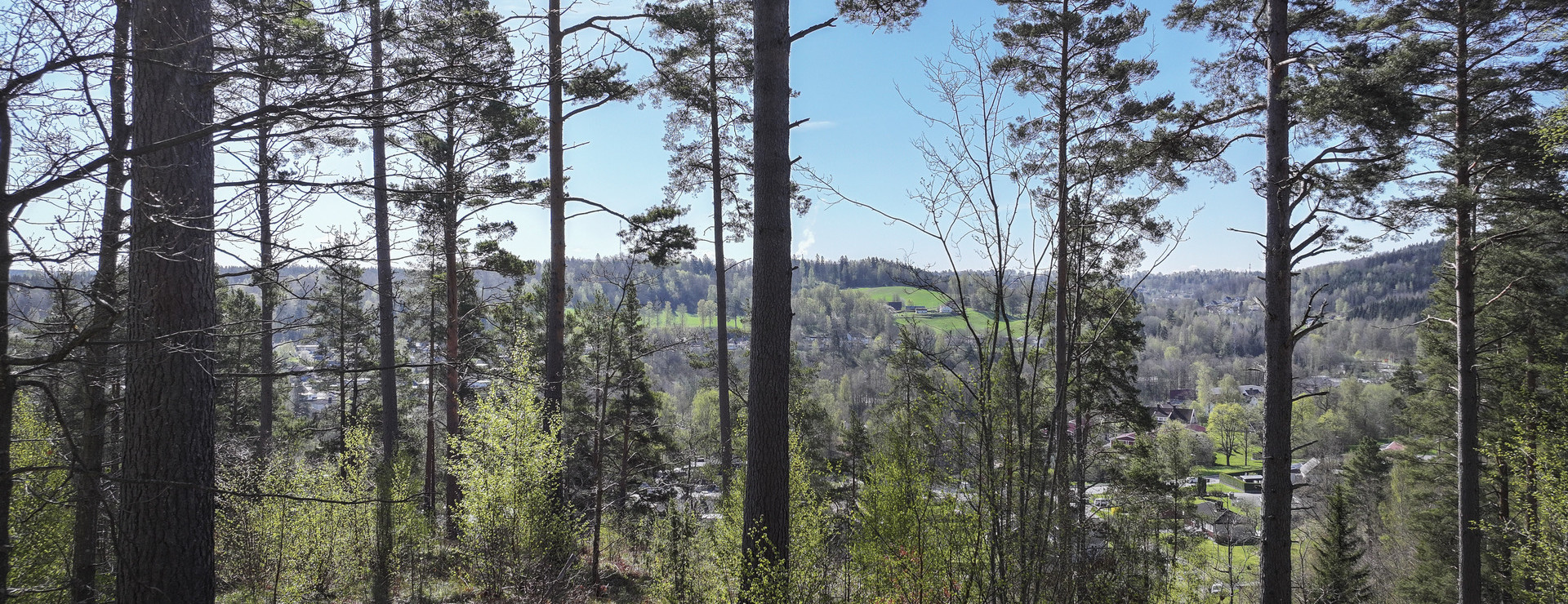 Hovslätts Kullar AB - Bolagsskog med centralt läge