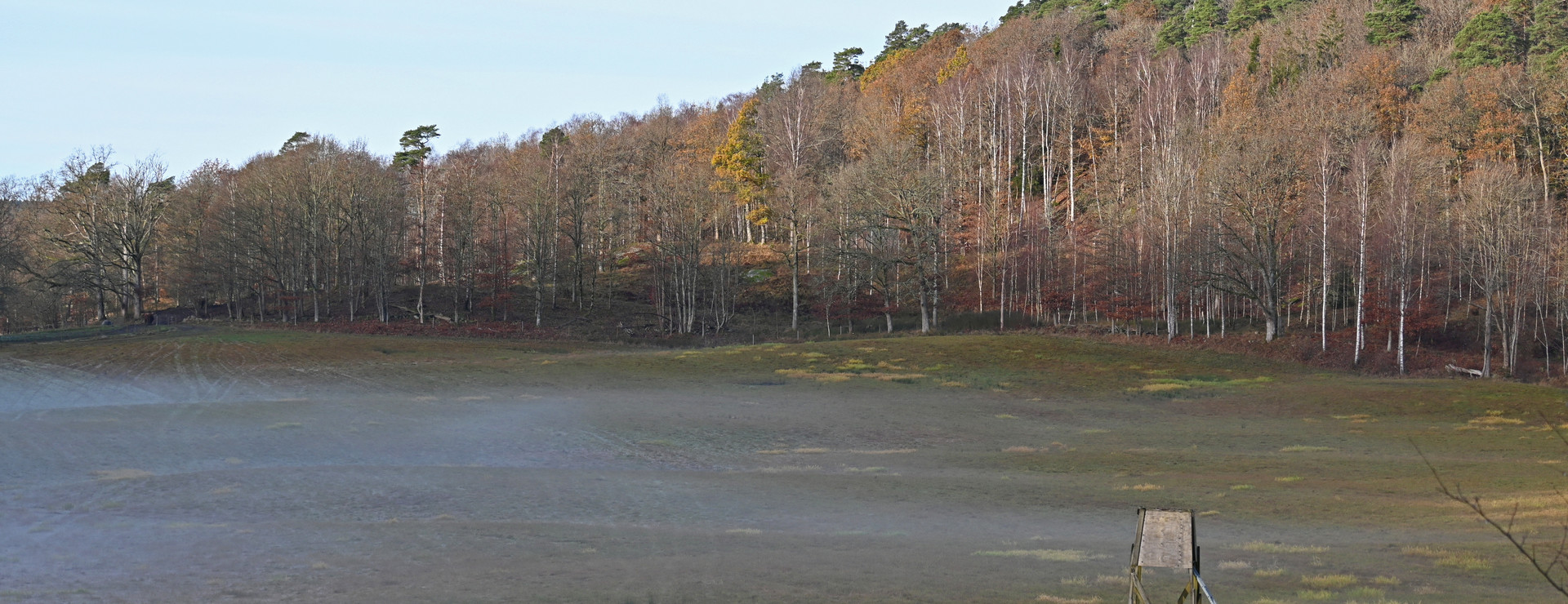 Korsviken - Skog och jakt nära havet