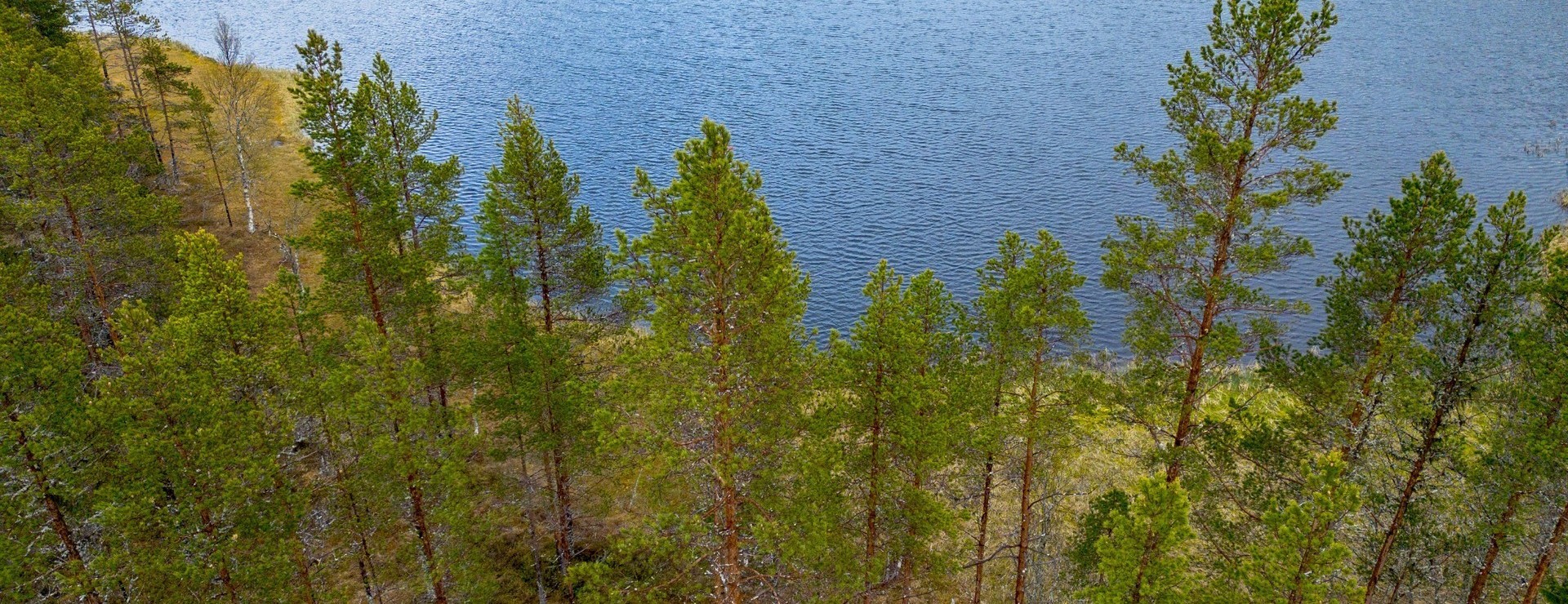 Anundsjö-Degersjö - Skogsfastighet om 294 ha