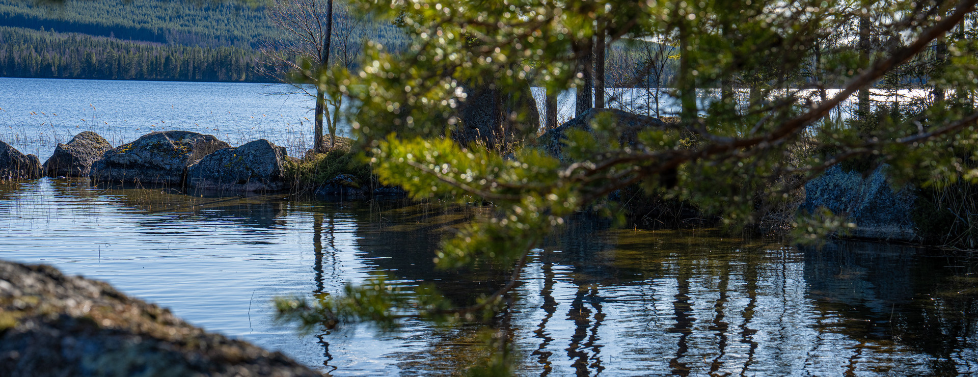 Görvik - Växtligt vid sjö