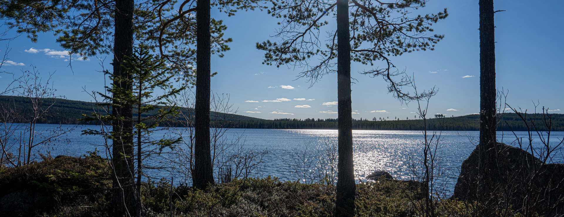 Görvik - Växtligt vid sjö