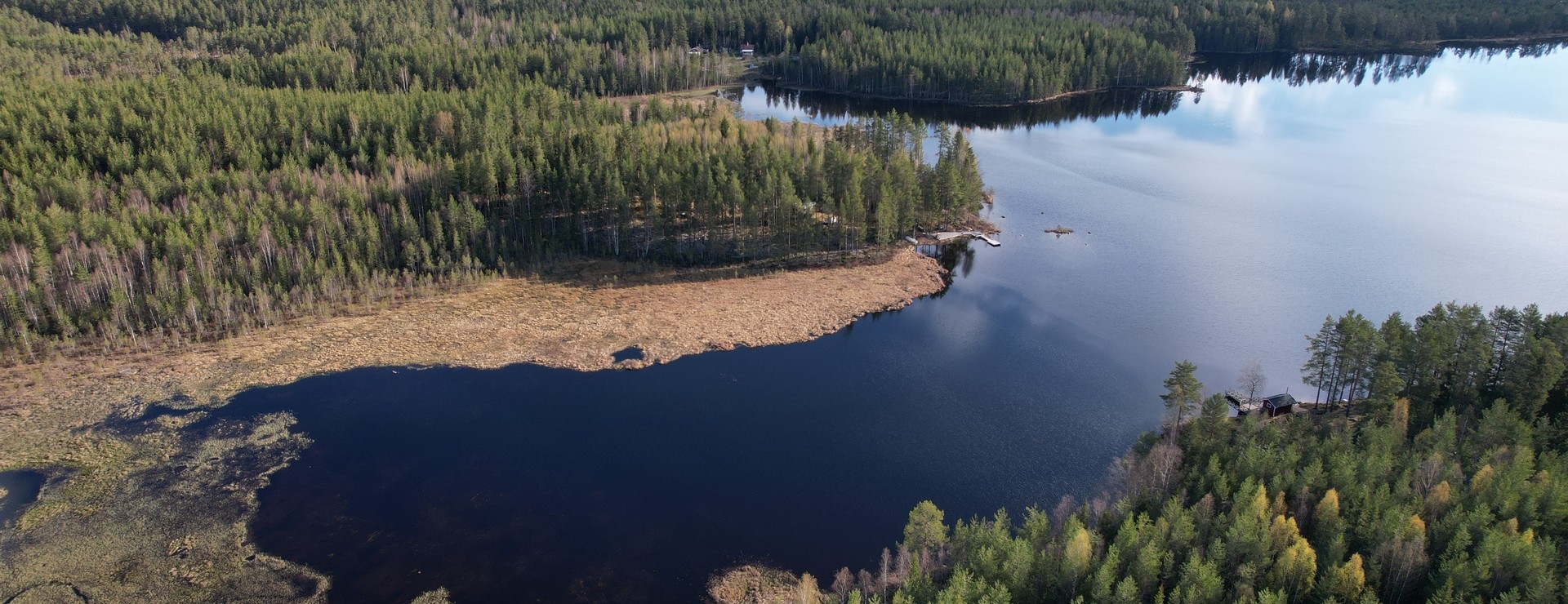 Ålängen - Skog vid sjön Ålängen