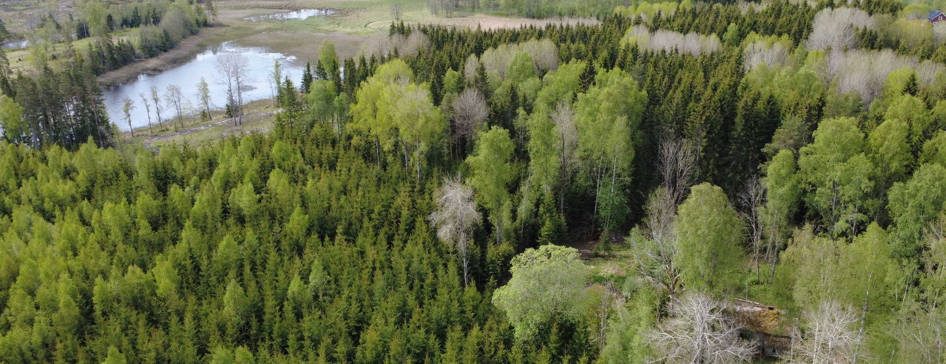 Älgåna och Hjällen - Fastigheter med hög bonitet