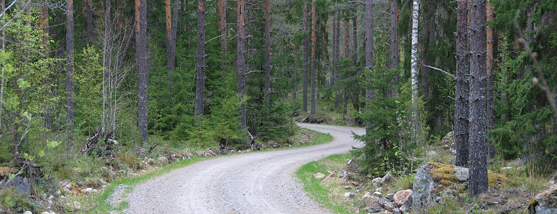 Lund - Virkesrikt i Valbo