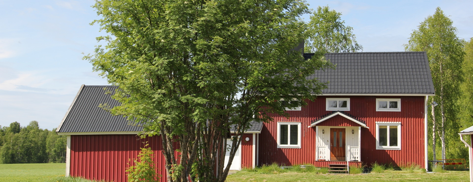 Ale - Virkesrik skog och vacker gård