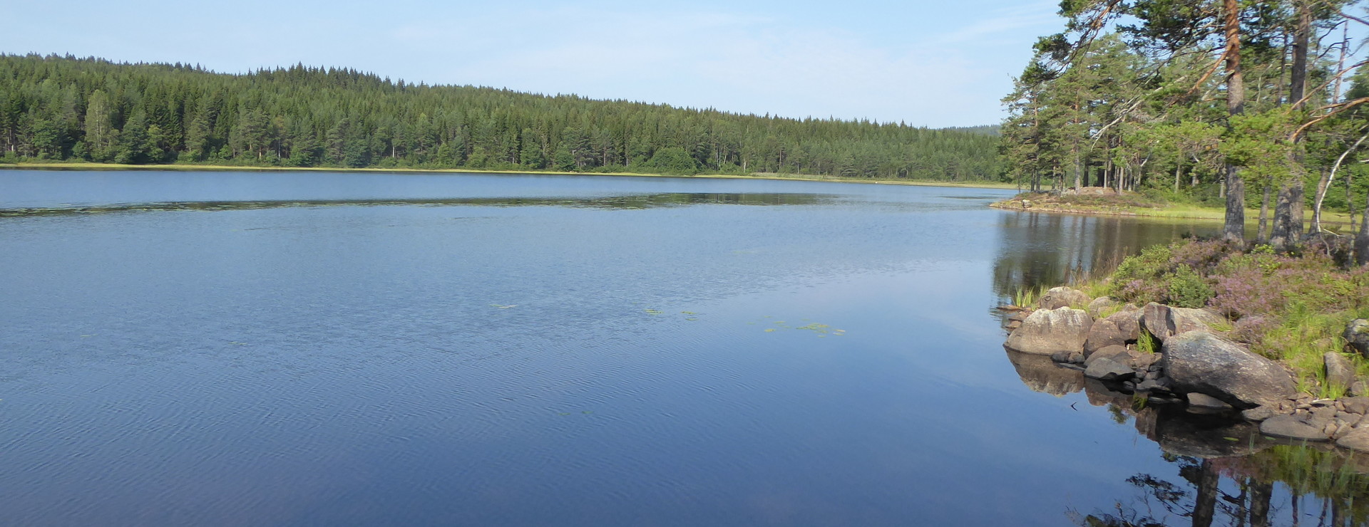 Elovsbyn - Skog Elovsbyn
