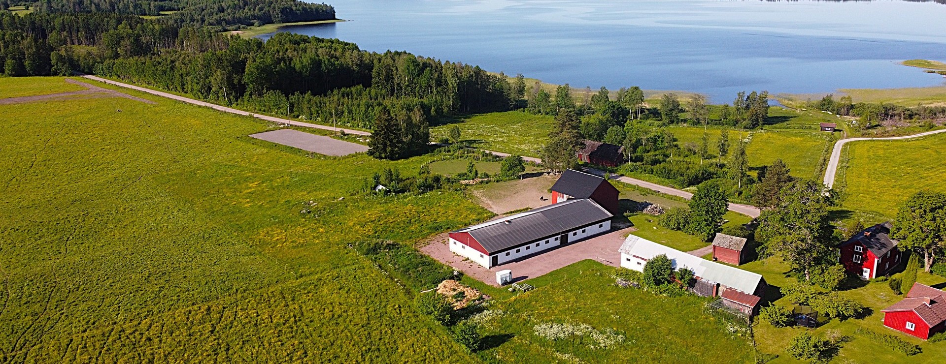 Flatvik - Hästgård vid Gapern