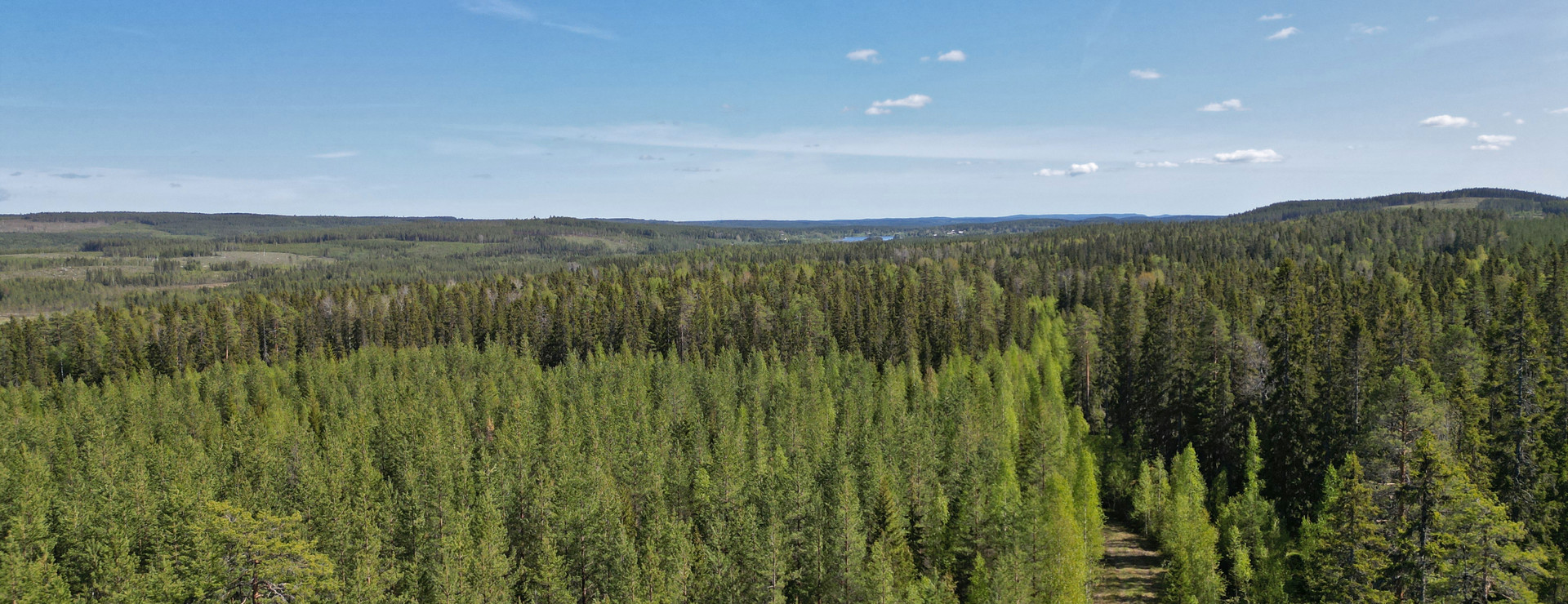 Västansjö skog - Virkesrik skogsfastighet