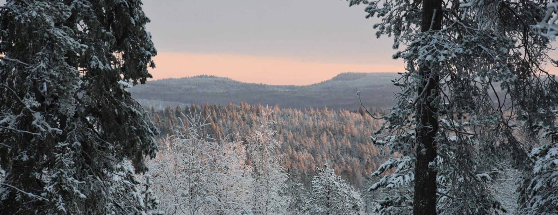 Säljprocessen