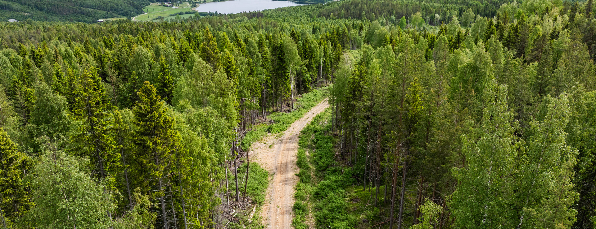 Ed - Bra värdeökning