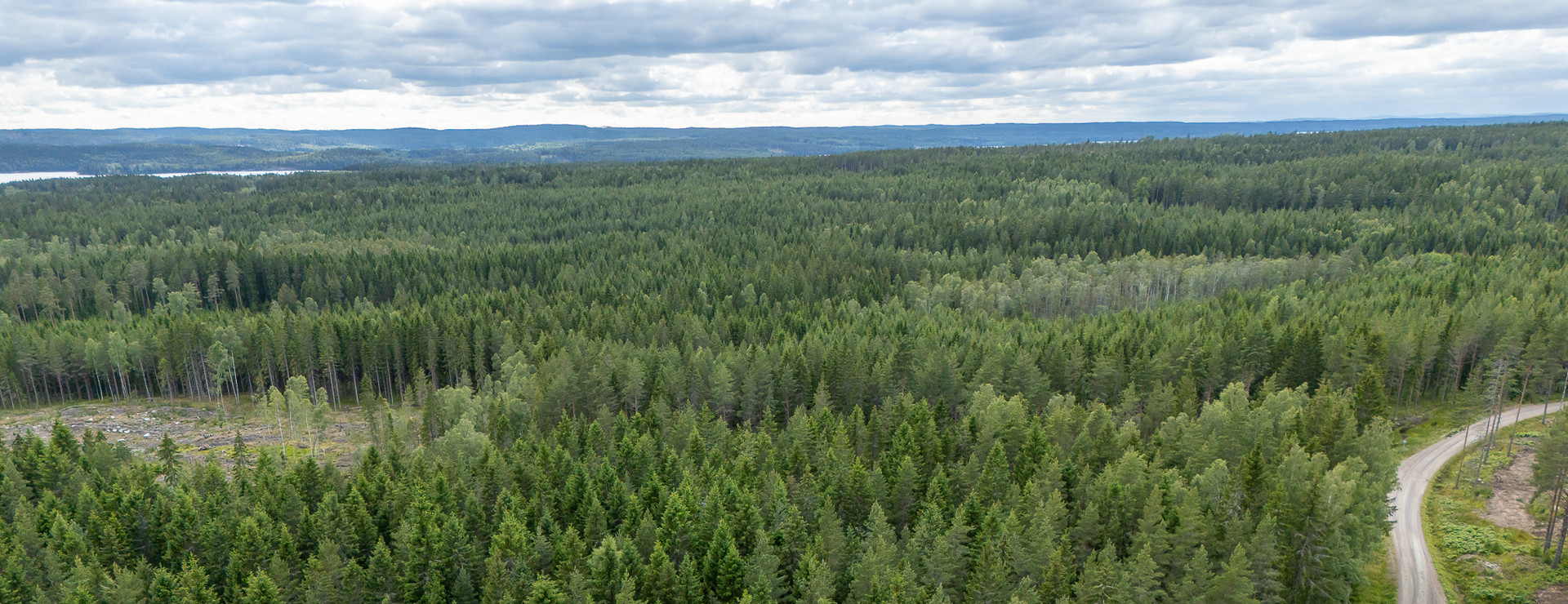 Eketegen och Hult - Skog Vårvik