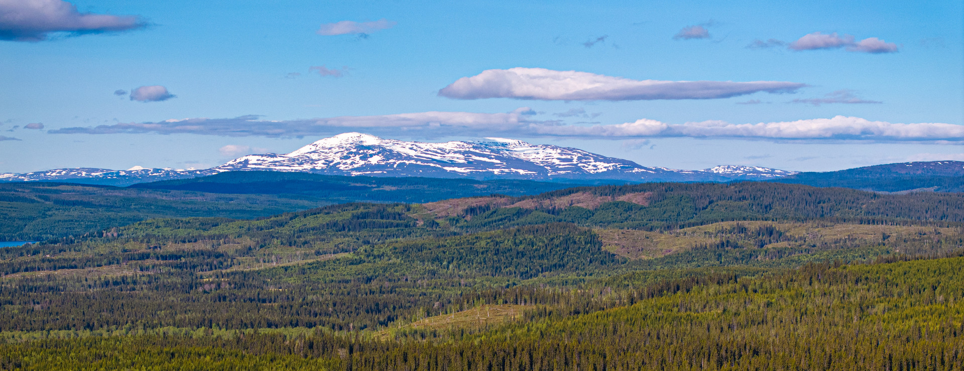Jäppsta - Skogsegendom med fjällutsikt