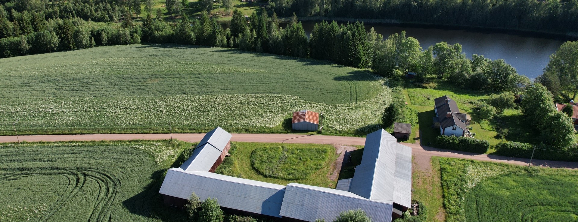 Janpers - Stadsnära gård vid Matsbosjön