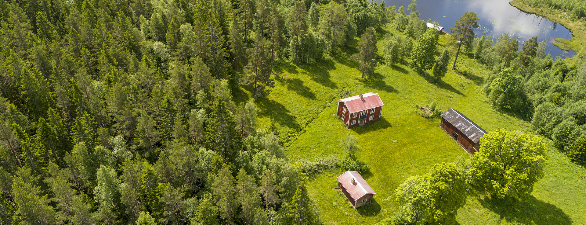 Lugnet vid Skräddartjärnen - Avskildhet vid tjärn