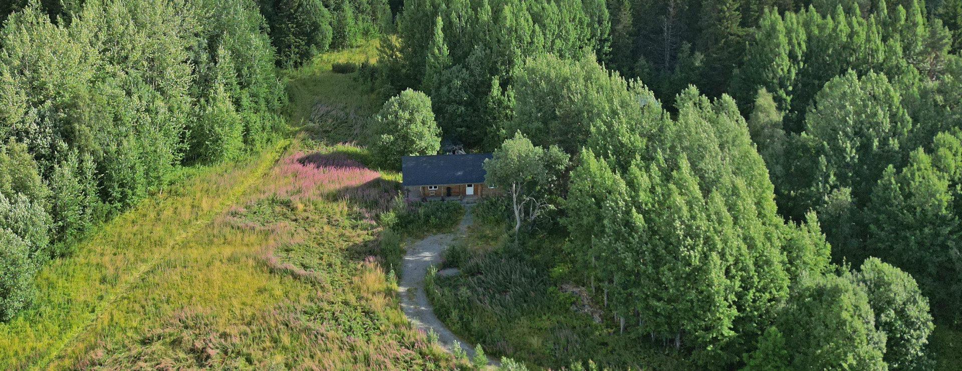 Hacksjö - Skogsgård med fin timmerstuga