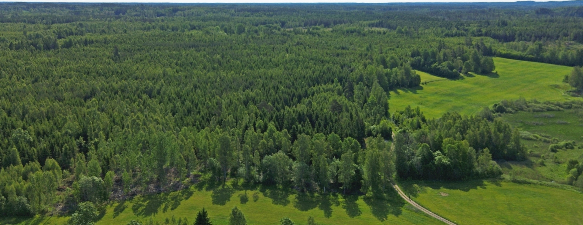 Palbyskogen - Välarronderad tillväxtmaskin