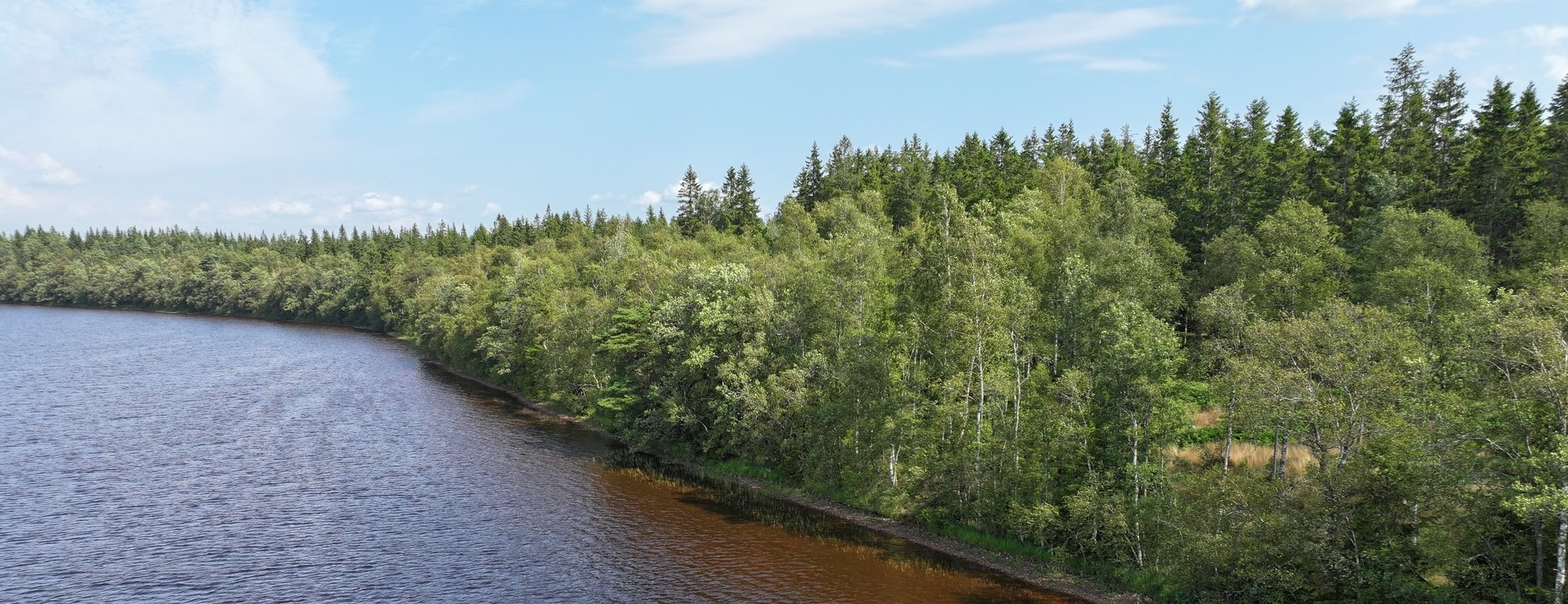 Kråkhult - Skog med sjöläge