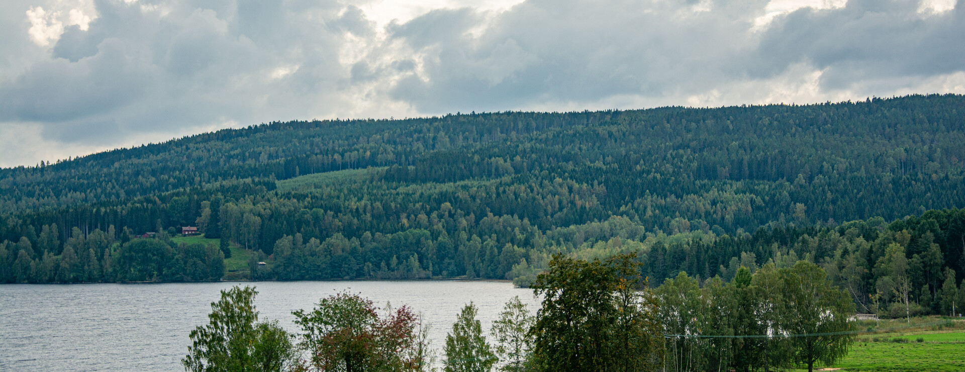 Flogned - Växtkraftig skogsegendom