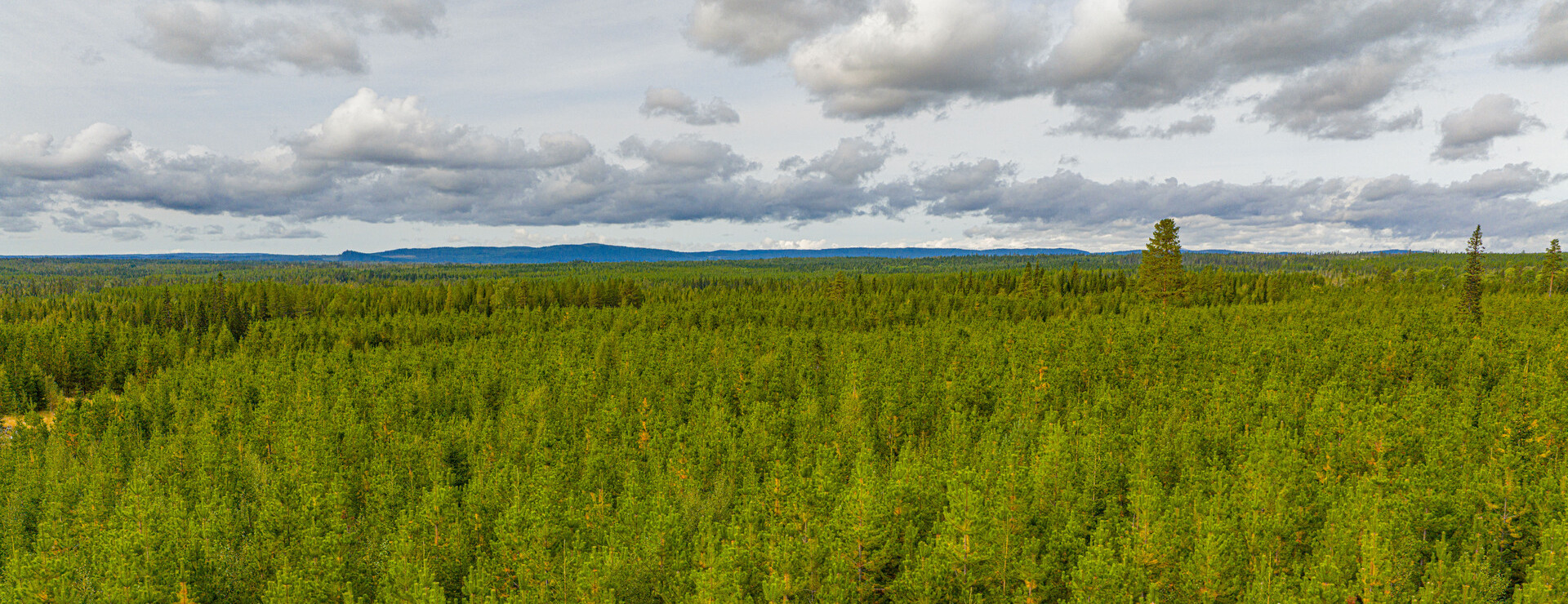 Norrgård - Produktionsfastighet i Föllinge