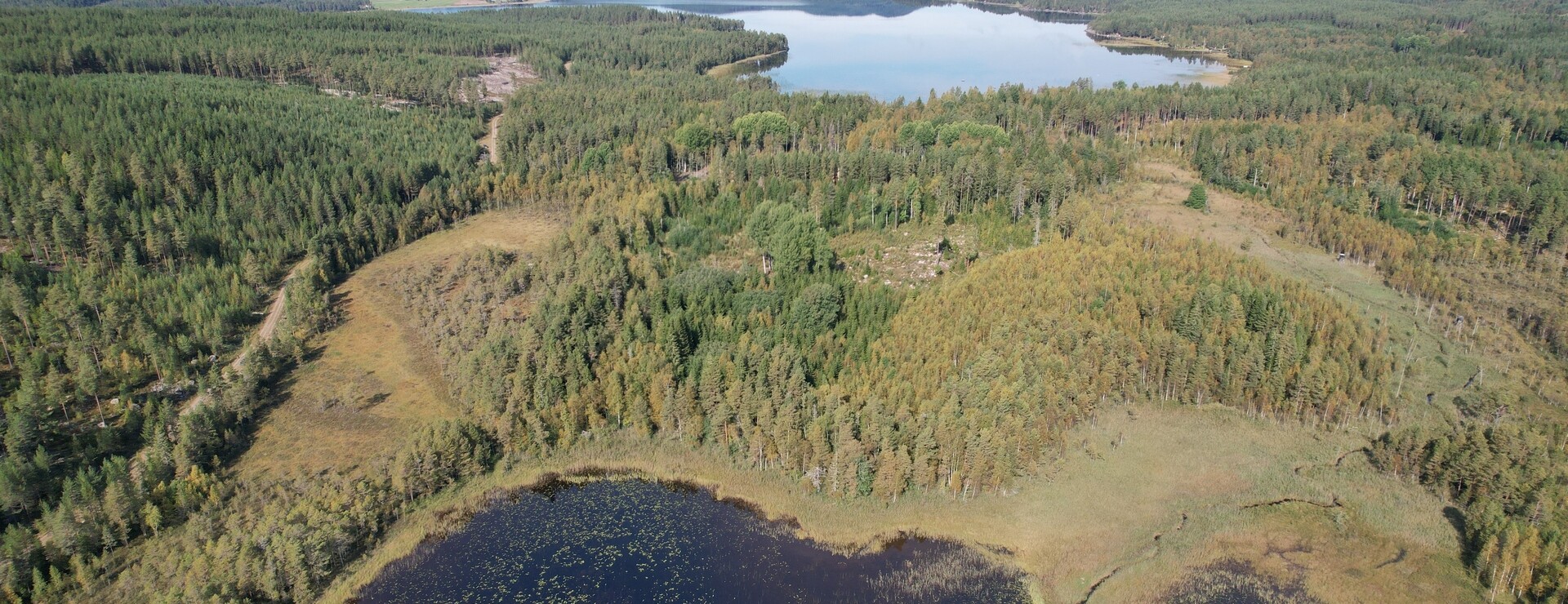Rältlindor - Skog och fäbodskifte