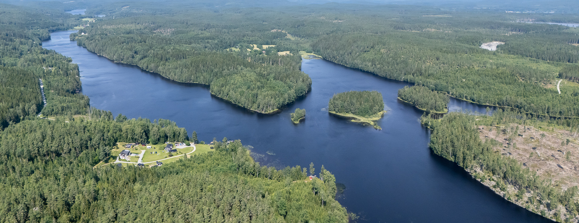 Övre Hån - Skog Töcksmark