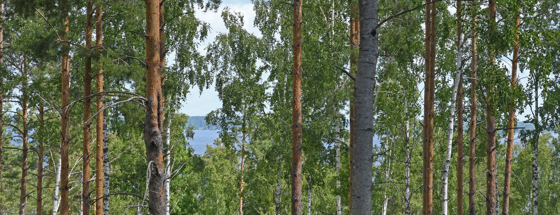 Heda skog och mark - Skog och mark vid Mälaren