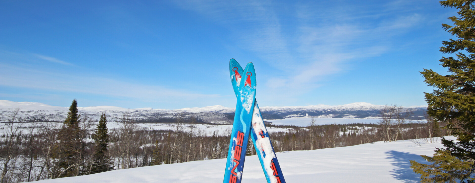 Jorm - Skog och jakt i Jorm