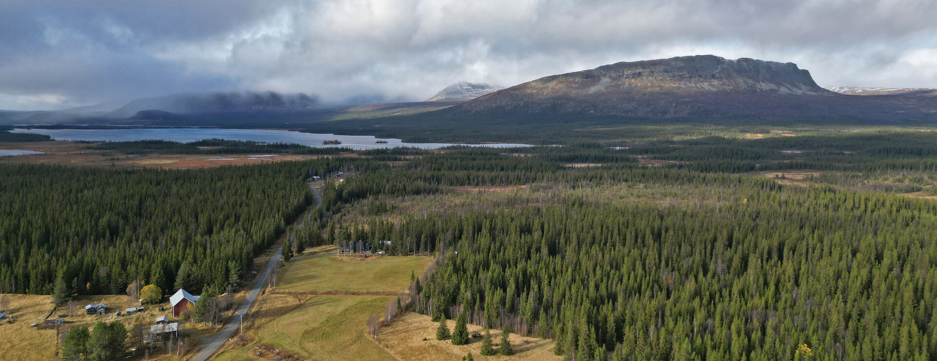 Grytsjö - Virkesrik skogsgård