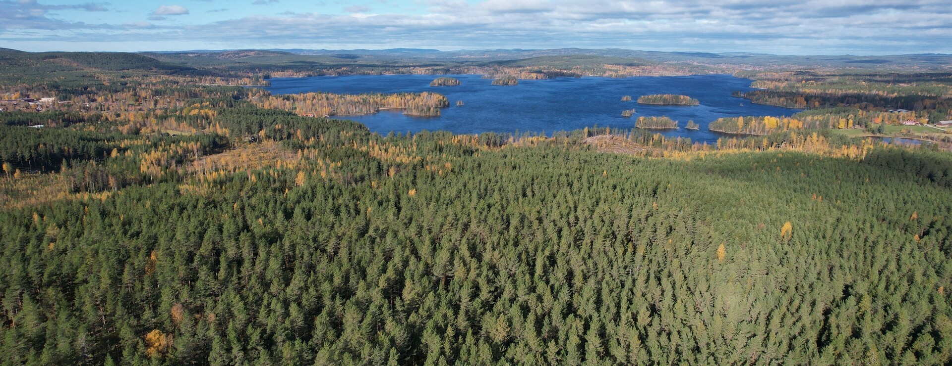 Årberget - Ett rationellt och välskött skifte