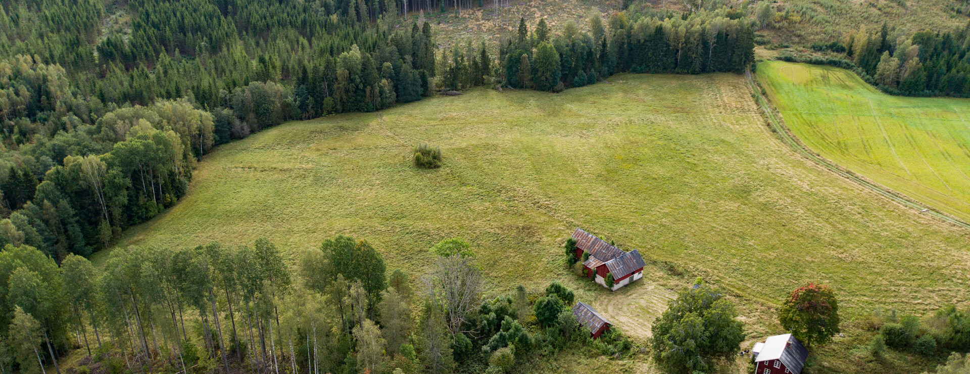 Gillberga - Ett torp med mycket av allt!