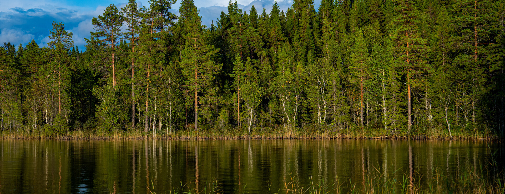 Östbergsbodssjön - Skogsfastighet med sjöläge