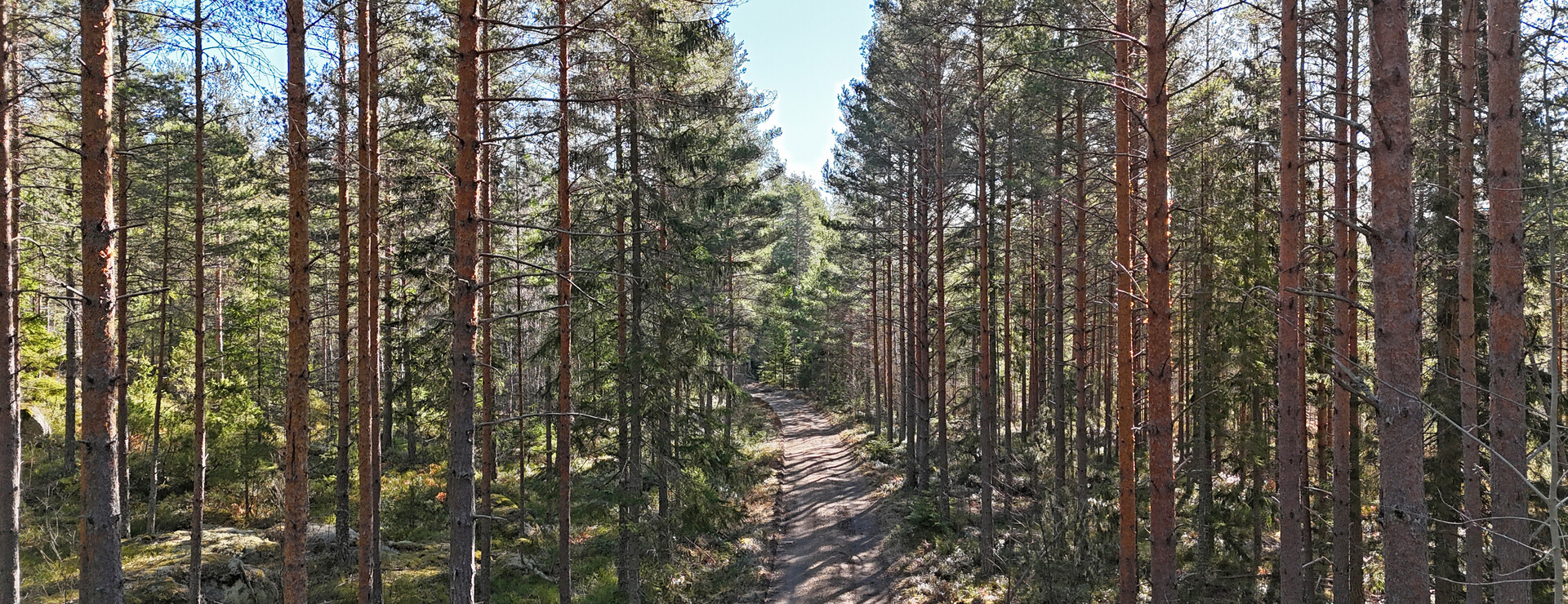 Livsdal - Stamblock på tillväxt!