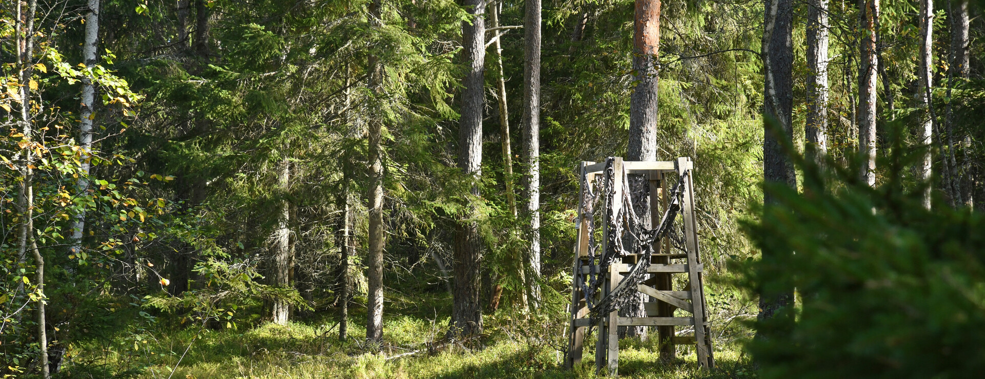 Kårsta-Ekskogen - Virkesrika jaktmarker