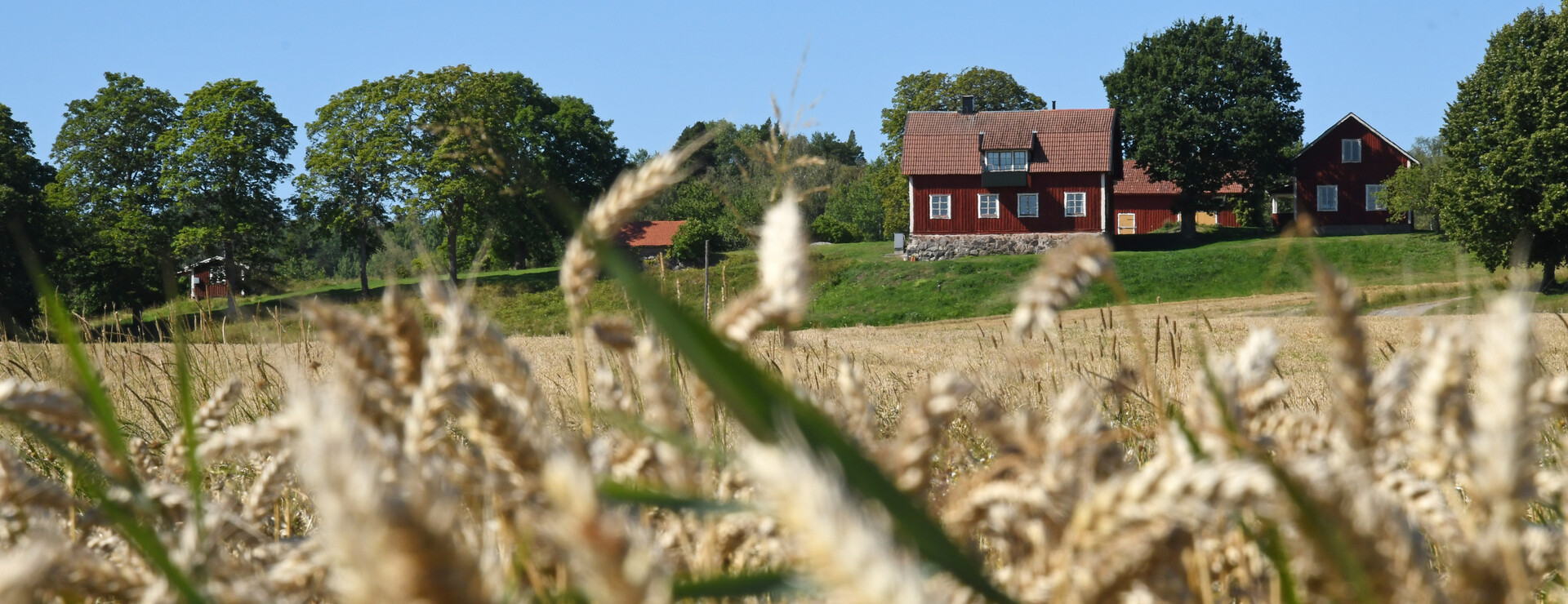 Ottersta - Ut mot havet…