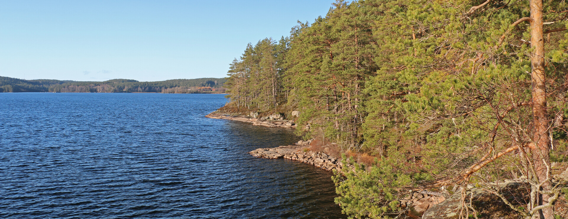 Svärdsvik - Bolagsskog