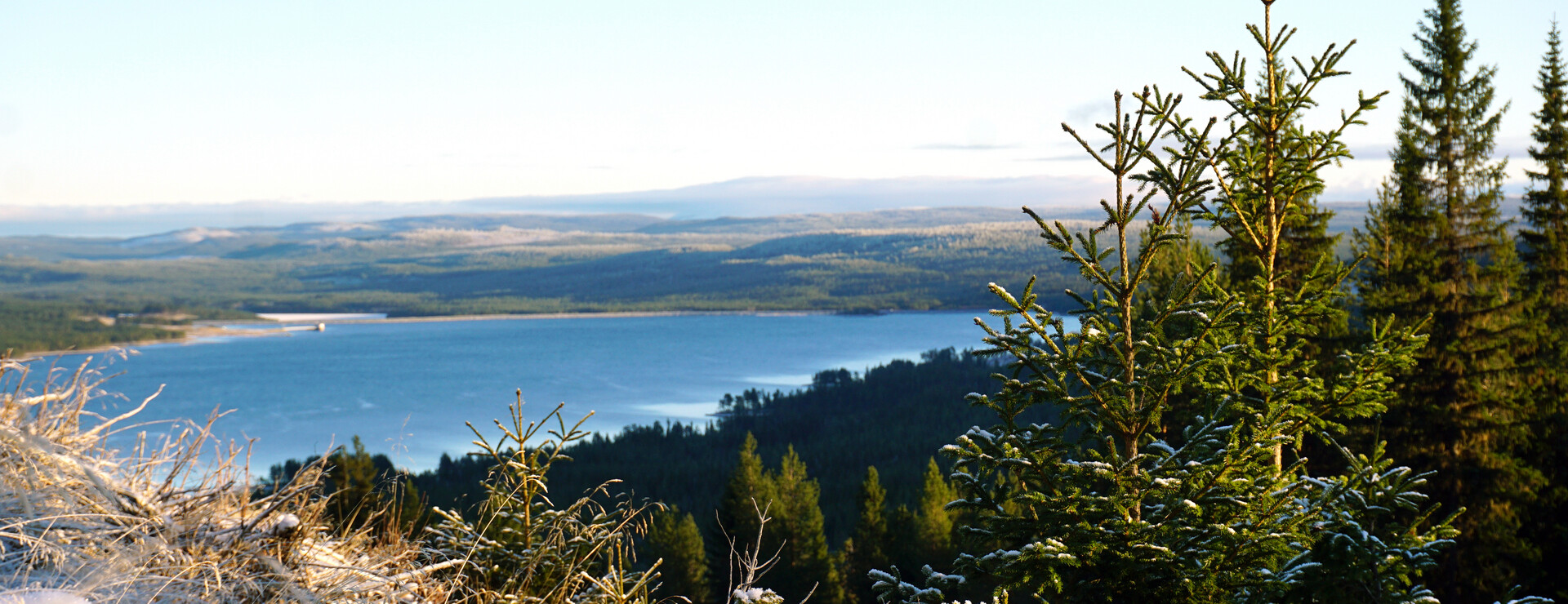 Valmåsen - Föreningsägd skogsegendom