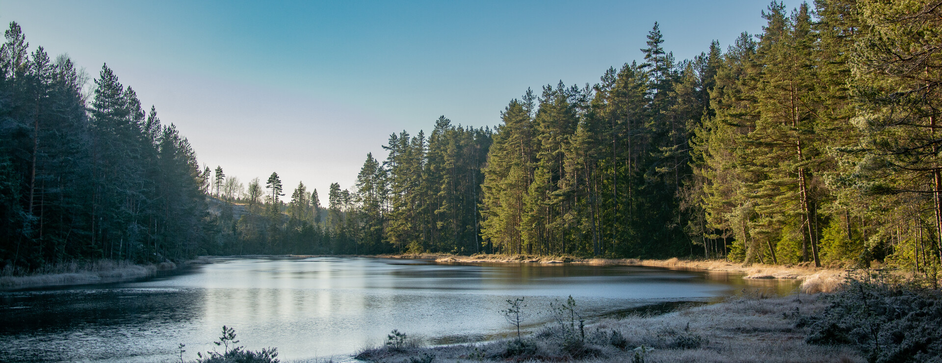 Mangskog - Välskött och välarronderat